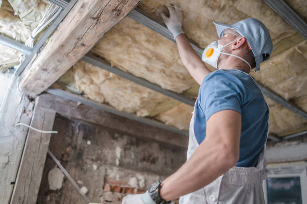 Best Residential Insulation in Blaine, TN