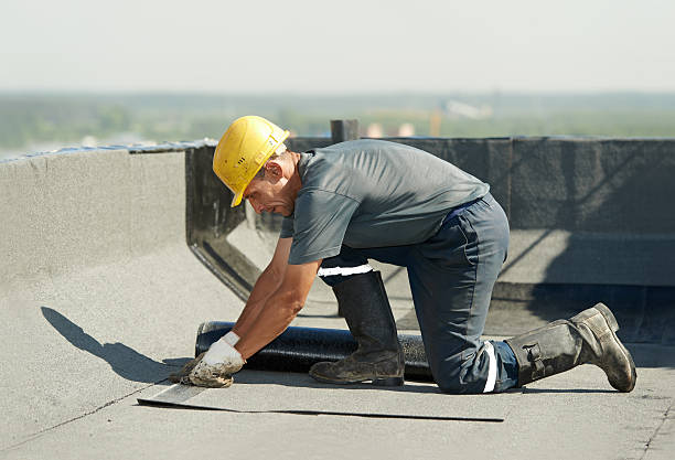 Best Specialty Insulation in Blaine, TN