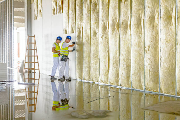 Best Insulation Maintenance and Repair in Blaine, TN